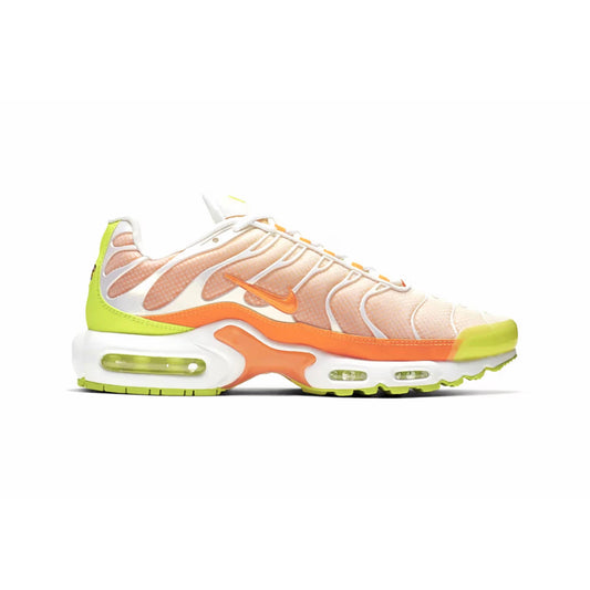 Nike Air Max Plus Light Colour Flip