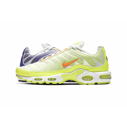 Nike Air Max Plus Light Colour Flip